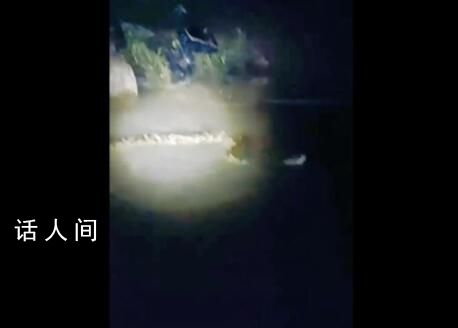 官方辟謠“河中發(fā)現(xiàn)巨型長蟲” 當(dāng)事人已承認(rèn)視頻造假