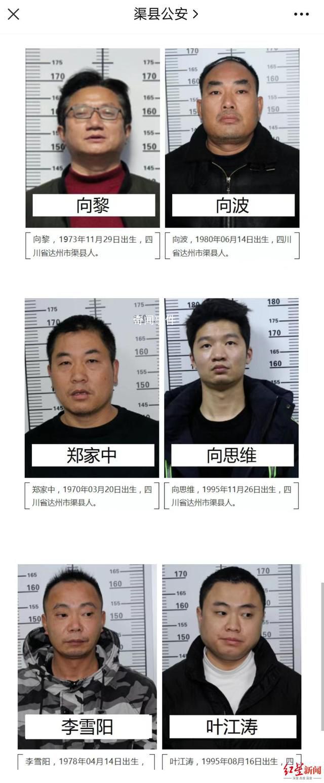 涉黑組織頭目曾是外國語學校校長 向波個人資料介紹