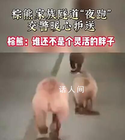 新疆3頭棕熊在隧道里夜跑 警方提醒：棕熊具有攻擊性請(qǐng)勿靠近