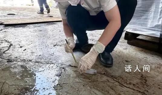 南京海關截獲白蟻近3000只 確認為檢疫性有害生物印緬乳白蟻