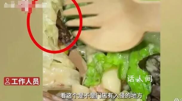 顧客在星巴克沙拉里吃出蟲 回應：食物由第三方食品廠制作