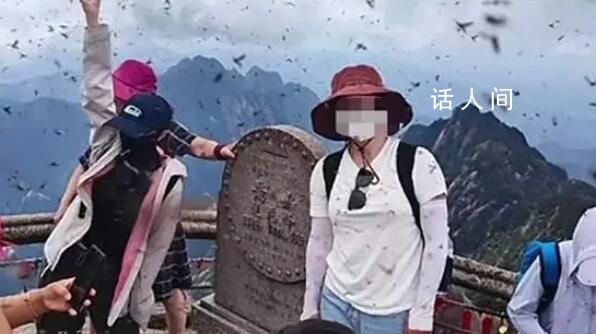 黃山景區(qū)回應(yīng)“飛蟲沖臉” 已反饋給園林部門