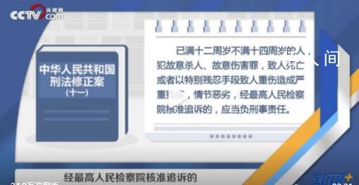 央視網:年齡不應是違法犯罪擋箭牌