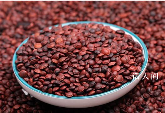 酸棗仁價格暴漲至1000元公斤 又一味中藥材暴漲了