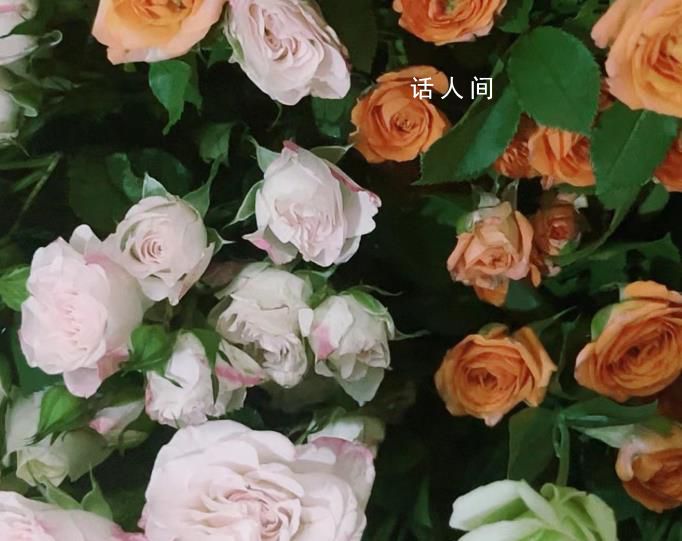 國慶節快樂 祝愿祖國的最佳句子有哪些