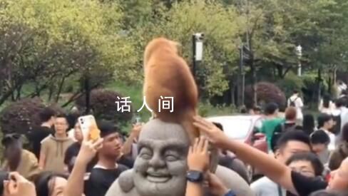 發(fā)現(xiàn)了雞鳴寺的頂流 善喜因長相可愛十分受歡迎