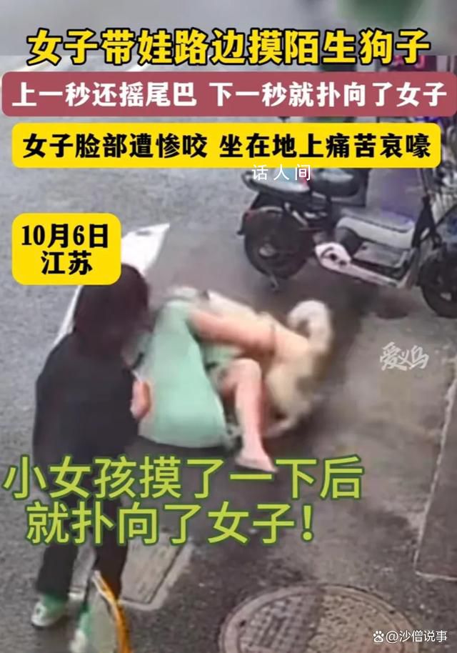 女子摸陌生狗面部慘遭撕咬 實在是太可怕了