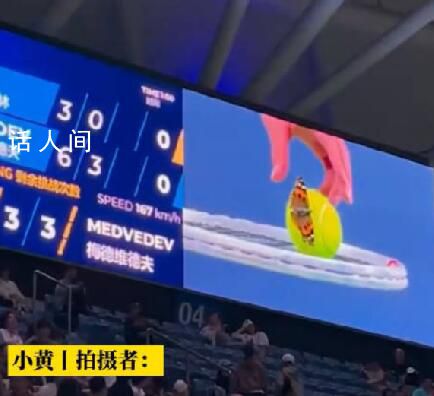 蝴蝶停在了梅德韋杰夫的網球上 簡直太棒了