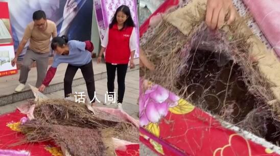 睡了10余年的床墊拆開全是垃圾 床墊的內層竟然是干草和黑心棉