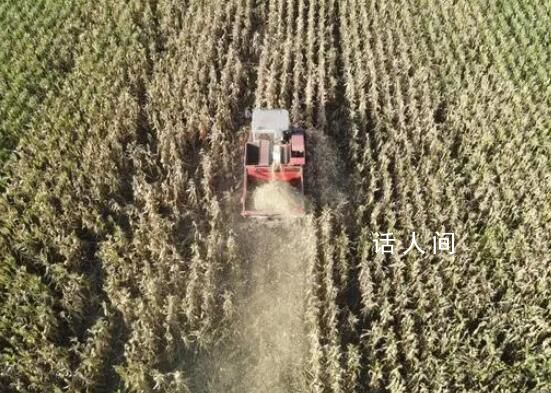 農戶搶收忙 “豐”景美如畫 目前全國秋糧收獲近六成