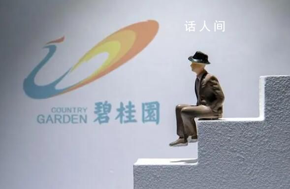 碧桂園創始人賣私人飛機償債 已賣掉一架另一架待售