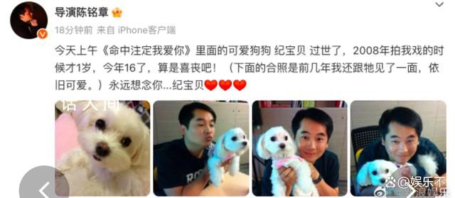 《命中注定我愛你》中的紀(jì)寶貝去世 紀(jì)寶貝回到汪星也要幸福哦