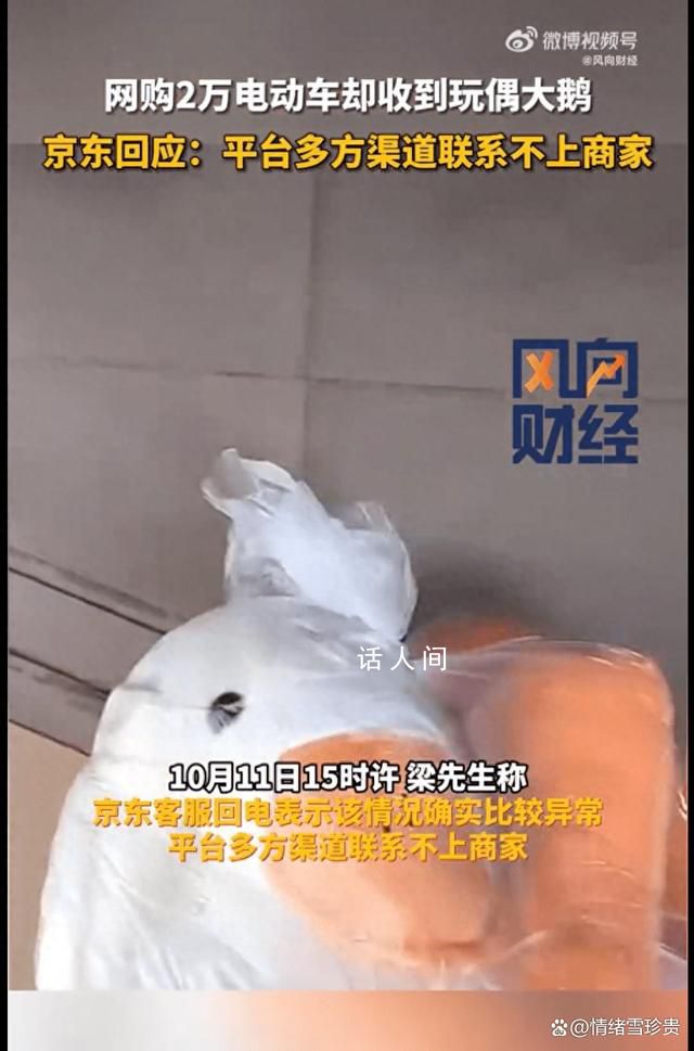 網購電動車到貨是玩偶 京東介入