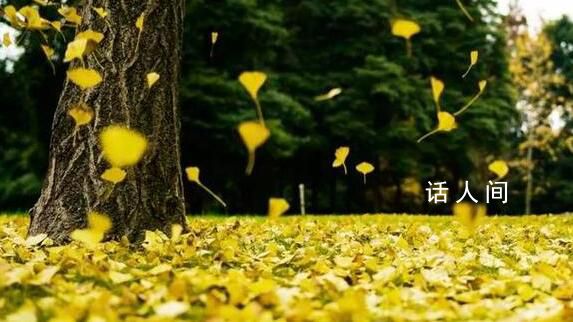 醫(yī)生提醒警惕悲秋綜合征 秋季是抑郁癥等情緒病的高發(fā)時段