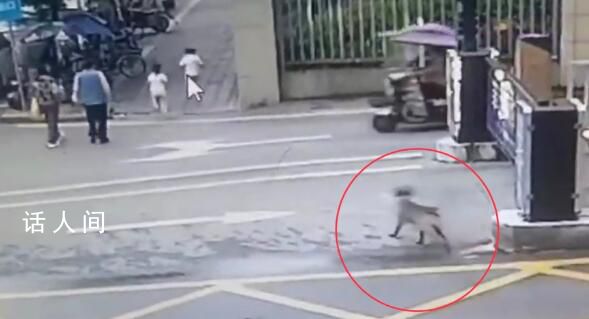 四川又一惡犬追咬2名幼童 被圍觀群眾和物業(yè)人員趕跑