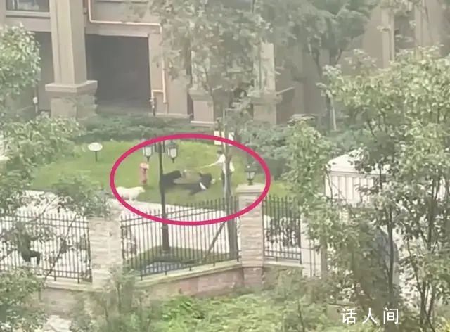 央媒評(píng)女童被咬:狗主人須繩之以法