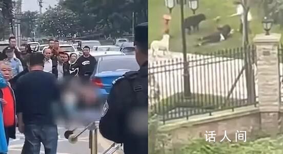 大型犬主人被孩子家長(zhǎng)砍傷?假的