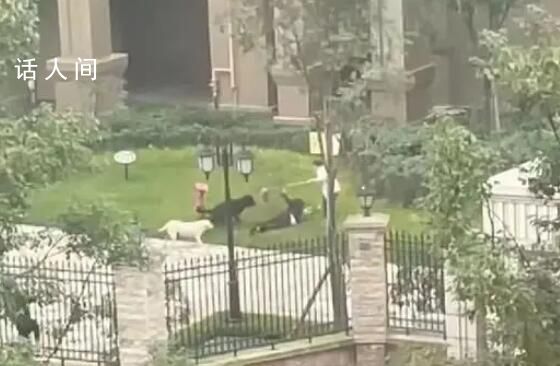 媒體:寵物傷人悲劇不該再上演