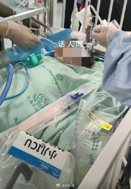 被狗咬傷女童已湊齊200萬捐款 不到六個小時