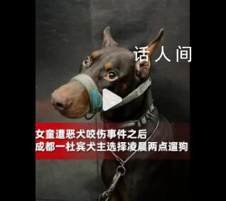 成都一養(yǎng)狗人選擇凌晨2點(diǎn)遛狗 選擇避開人群給他人安全感