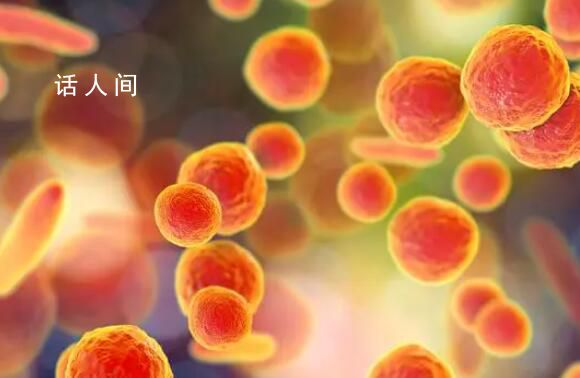 為什么今年支原體傳染嚴重 多大的孩子容易得