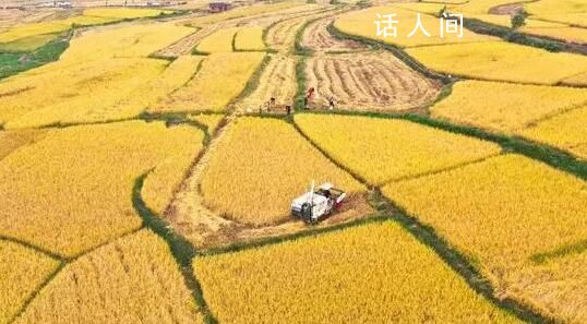 豐收的顏色你見(jiàn)過(guò)嗎?一起體驗(yàn)驚艷大地的豐收色彩