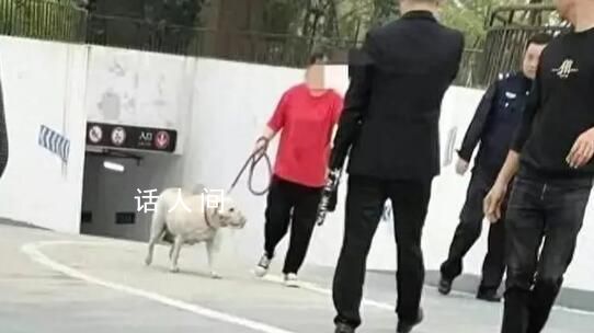 街道辟謠四川被咬女童先動手砸狗 這些均系謠言不屬實