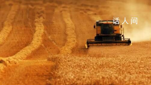 一組數據帶你看大國糧倉 目前全國秋糧收獲近六成