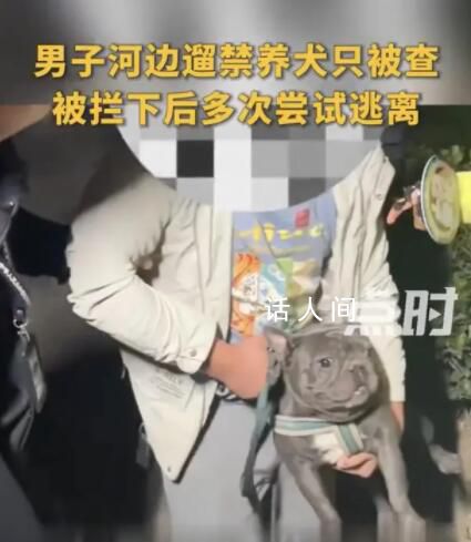 鄭州被抓法斗已回家 主人被罰5000元