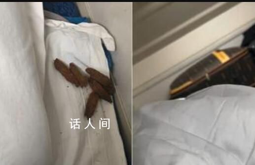 男子在臥鋪發(fā)現(xiàn)“排泄物”樣異物 該旅客隨后再次確認(rèn)又疑似檳榔
