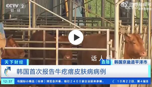 韓國確診多例牛疙瘩皮膚病病例 引發(fā)了韓國社會的高度關(guān)注