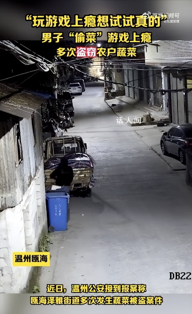 男子偷菜游戲上癮多次盜竊蔬菜 已被公安機(jī)關(guān)依法采取刑事強(qiáng)制措施