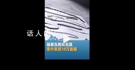 租客在廁所吊頂發現10萬金器 這一批金器已移交桐鄉市公安局進一步處理