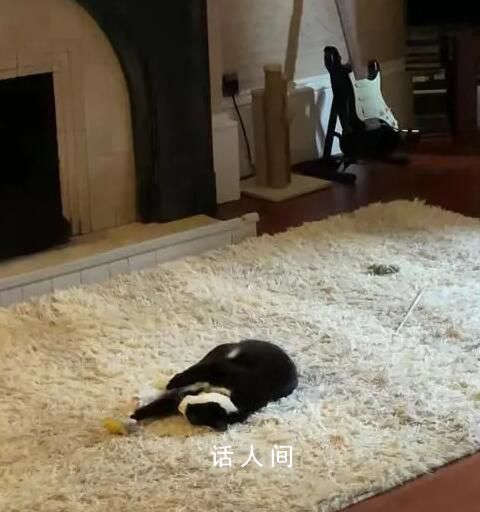 985畢業生在英國富人區做保姆 每月能省七千元房租