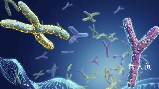 夫妻同床5年 發現丈夫染色體是女性