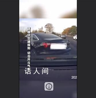 奧迪轎車惡意別車被撞進綠化帶 后車幾次避讓仍繼續別車