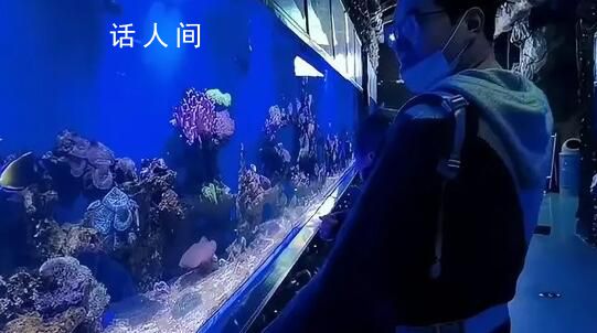 小伙在自家廁所里建海洋館隱居6年 有愛好的人生活才不會空虛