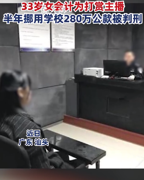 女會計挪用280萬打賞主播被判刑 數額巨大已構成職務侵占罪