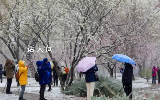 東北此次雨雪量或破歷史同期極值 中央氣象臺3預警齊發