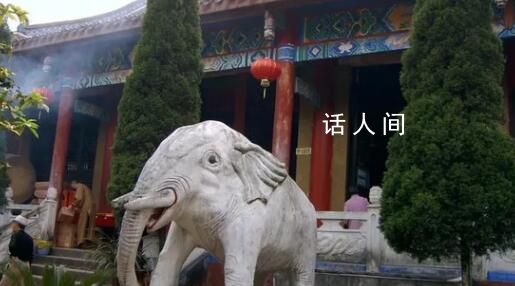 與主播發生關系住持系省政協委員 釋照杰個人資料介紹