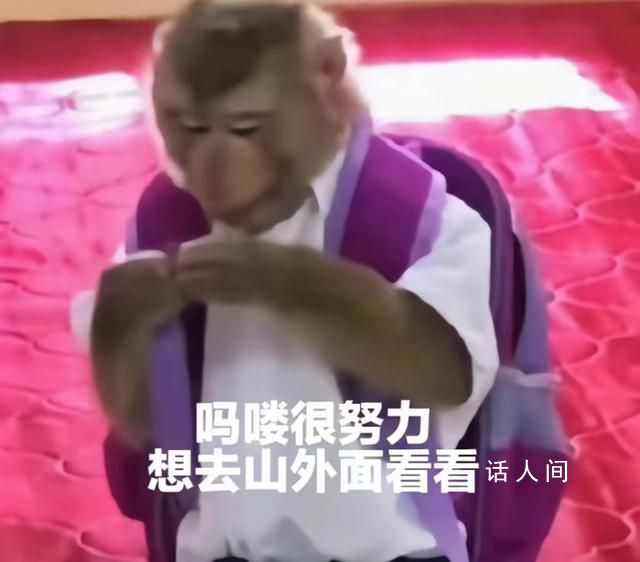 “嗎嘍”占領了年輕人的生活圈 嗎嘍風潮仿佛一夜之間席卷網絡