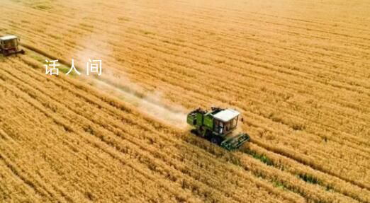 筑牢中國糧食安全“壓艙石” 進一步確保中國人牢牢端住自己的飯碗