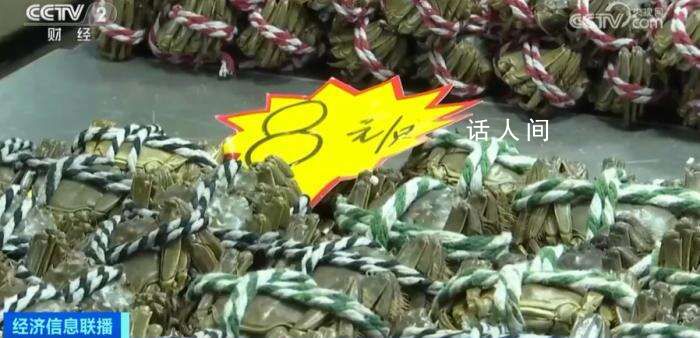 大閘蟹跌破10元一只 市場供大于求