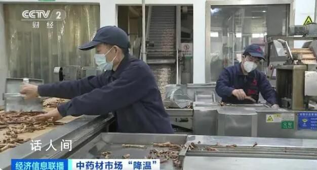 中藥材價格狂飆按下暫停鍵 為何出現價格回落