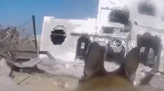 軍犬拍下加沙巷戰激戰視頻 以軍給軍犬戴上了背馱式攝像頭