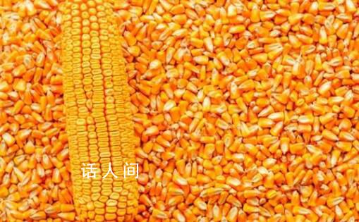 轉(zhuǎn)基因種子公示期滿(mǎn)月 商用在即