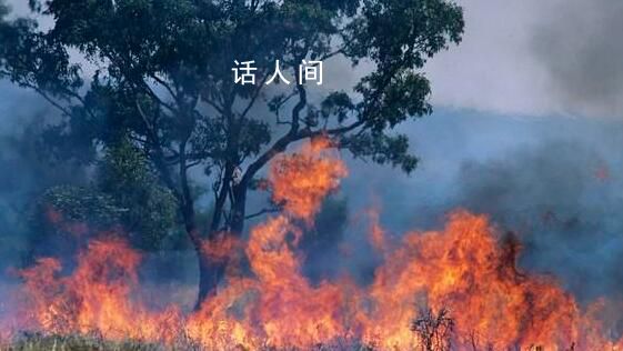 南半球夏季或?qū)⒚媾R極端高溫天氣 降水減少引發(fā)干旱