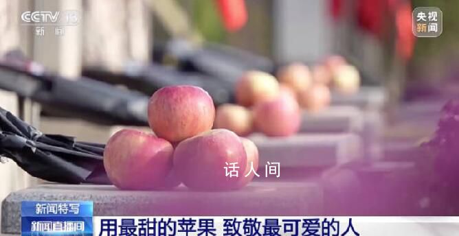 沈陽市民帶1800個蘋果祭掃英烈 山河無恙英魂安息