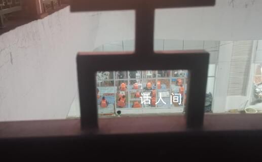 電詐人員連成一串依警還鄉(xiāng) 現(xiàn)場(chǎng)畫面曝光