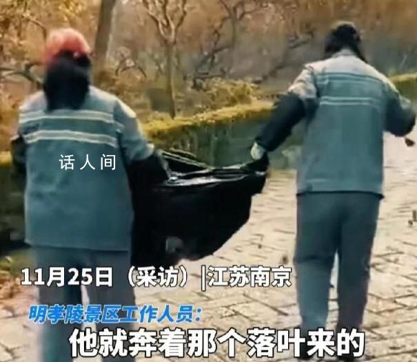 景區回應清潔工往路上拋撒樹葉 很多游客可能是為了落葉來的